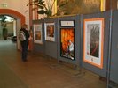 Ausstellung 2007