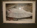 Ausstellung 2007